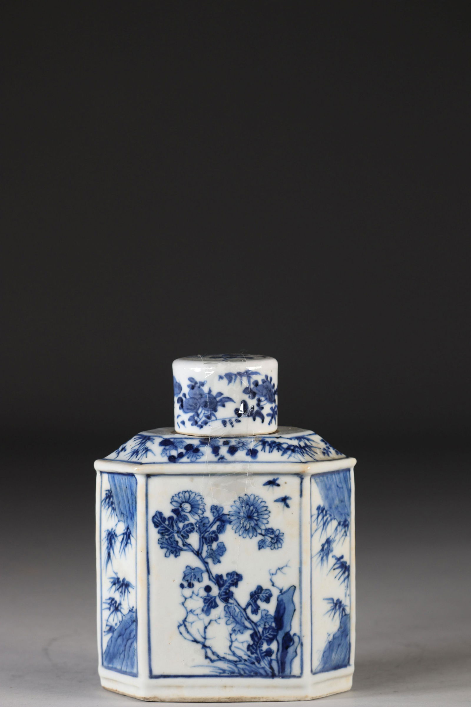 China tea pot blanc bleu with floral decoration 18th (1 of 5)