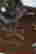 item-122636519=7