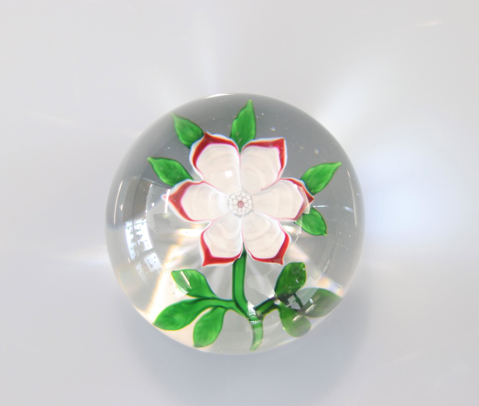 Baccarat paperweight decorated with a 19th century red border primrose (1 of 1)