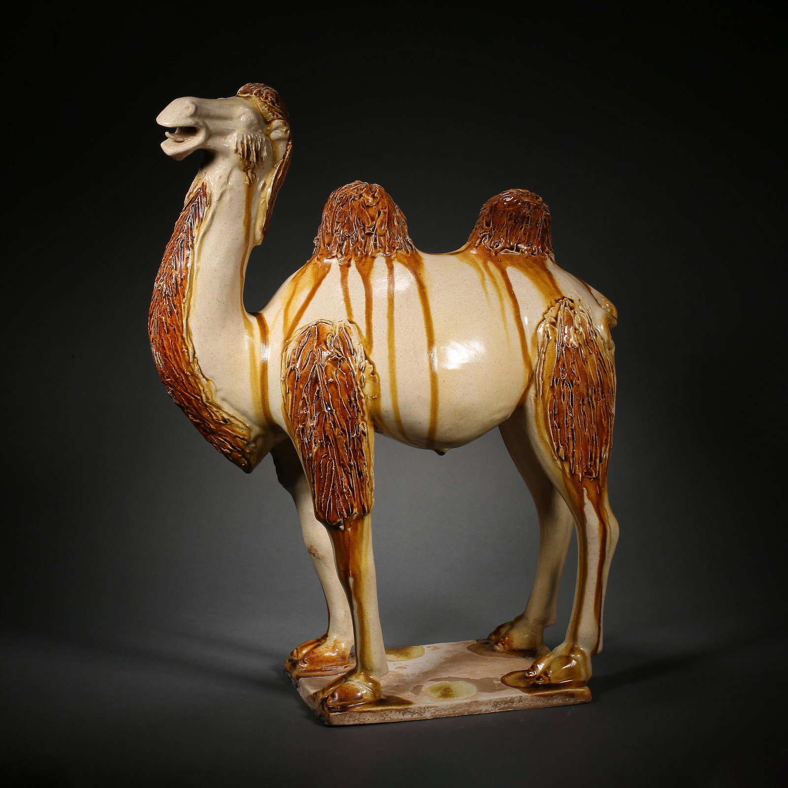 THREE-COLORED CAMEL, TANG DYNASTY, CHINA (1 of 13)