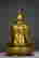 item-137041651=10