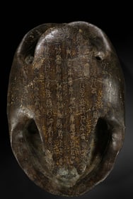 A giant, complete tortoise shell from the Han Dynasty in China, dating from the 9th to 10th