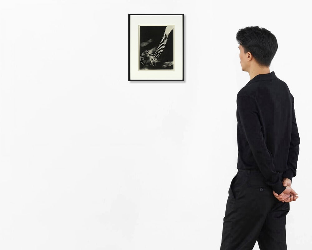MAN RAY, SPIRAL - 2