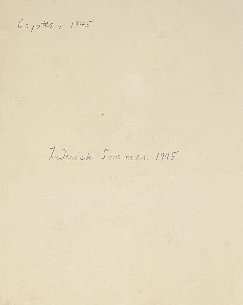FREDERICK SOMMER, COYOTES, 1945 - 3