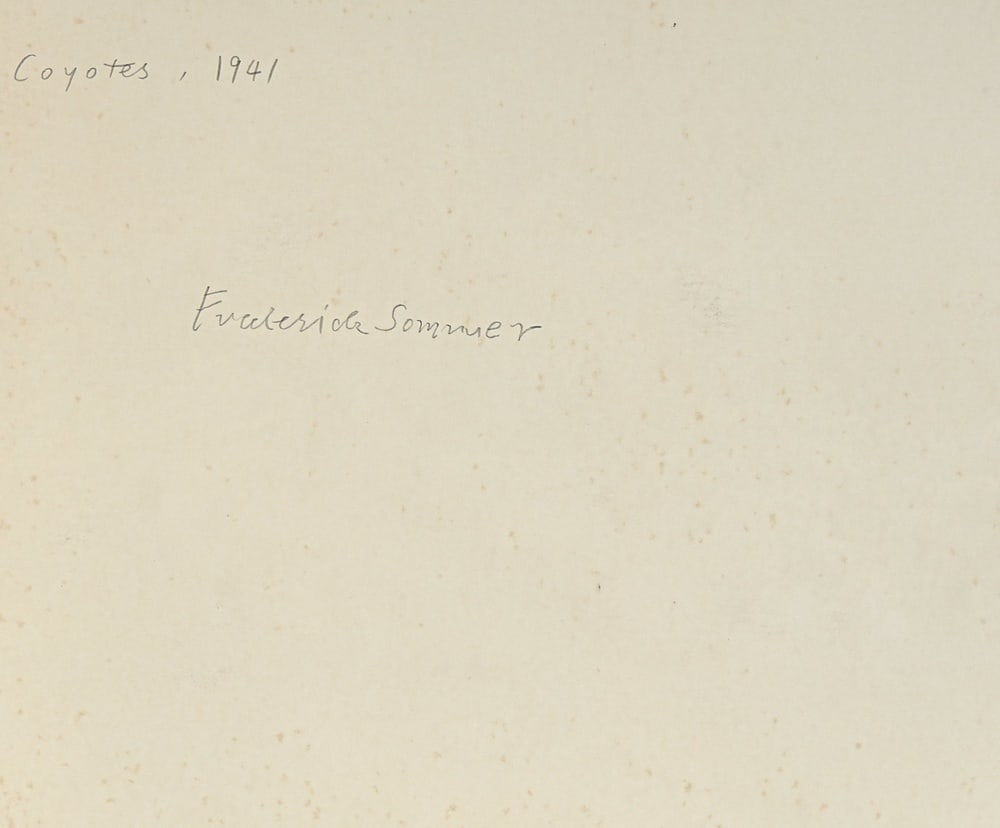 FREDERICK SOMMER, COYOTES, 1941 - 3