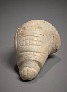 Extremely Rare Zemi Carved Conch Shell Bugle: Rarely are these with any carving, this one is of modest size and completely carved all around, a crouching Zemi God, toes and hands delineated, he shows a huge skeletal head with a bared rack of