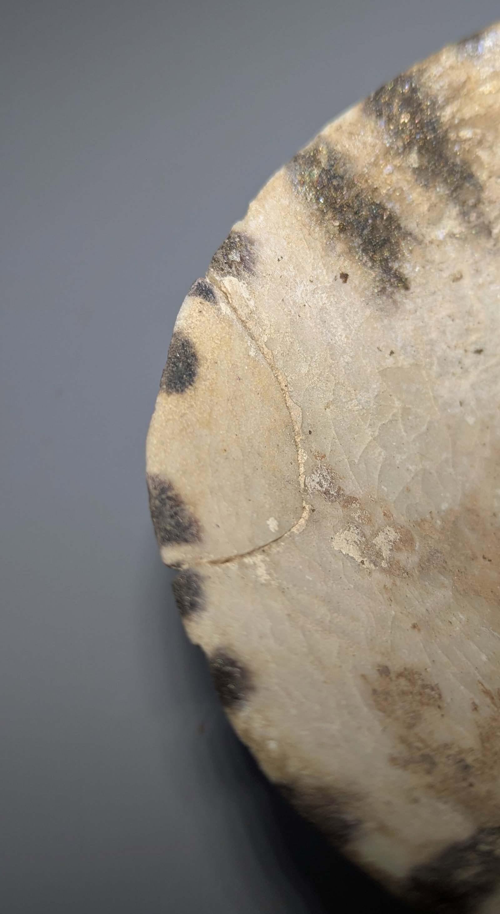 Persian Painted Buff-Ware Conical Bowl - 4