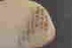 item-128354471=9