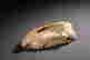 item-128939877=2