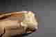 item-128939877=4