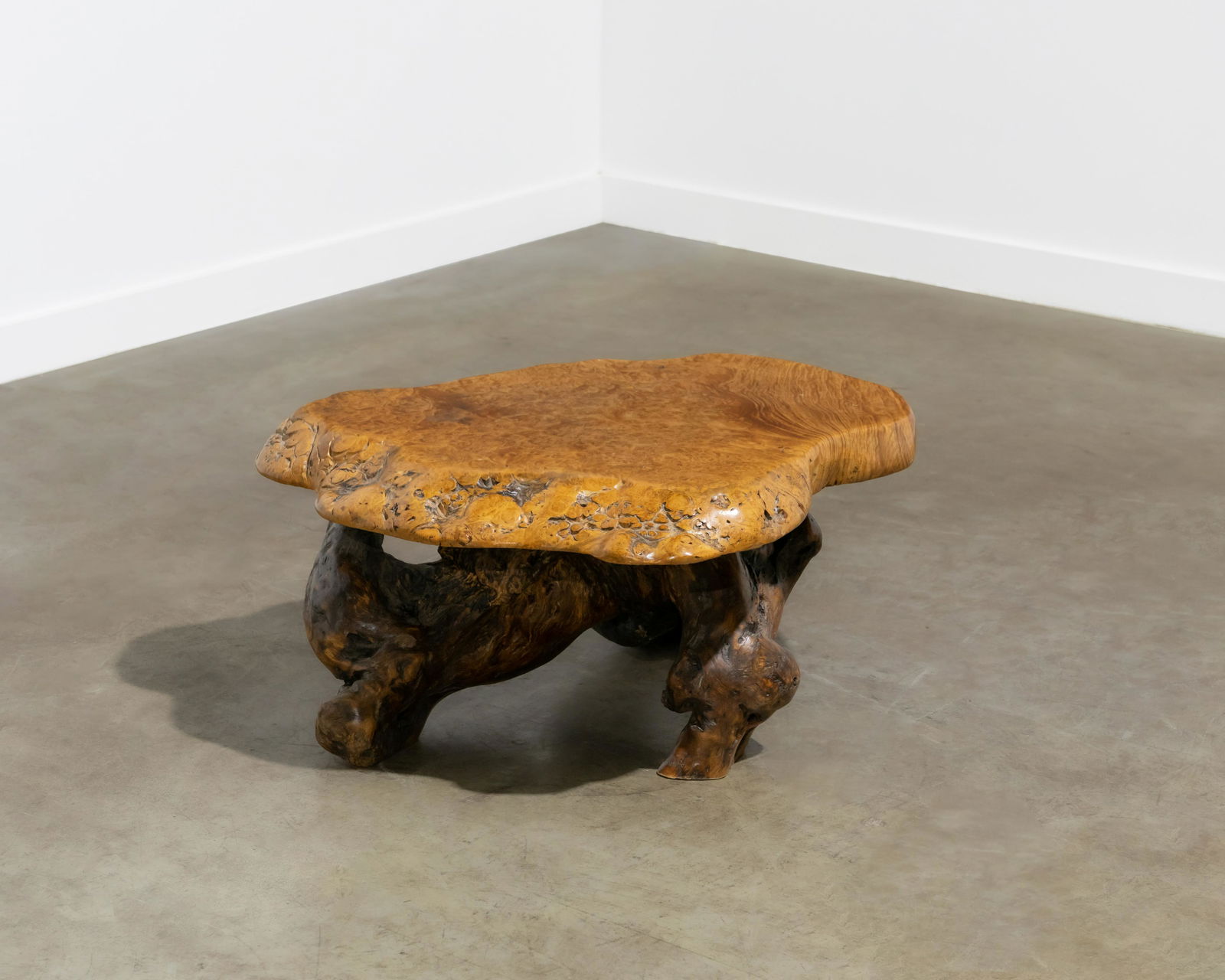 Organic Burl Coffee Table (1 of 7)