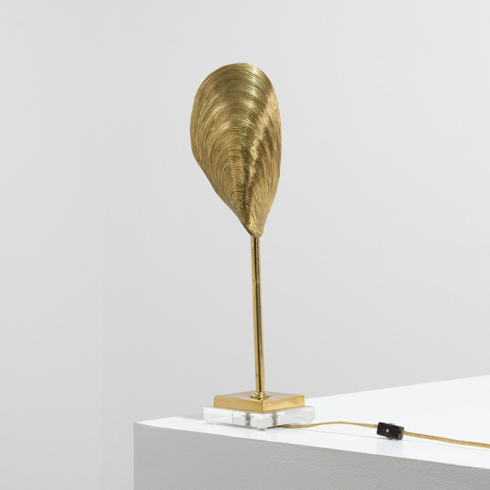 Tommaso Barbi (Attr.) - Shell Lamp (1 of 6)