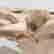 item-133266036=4