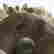 item-133266036=8