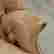 item-133266129=5