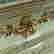 item-133266135=5
