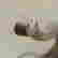 item-133266136=8