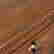 item-133266205=3