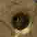 item-133266372=9