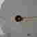 item-133266396=12