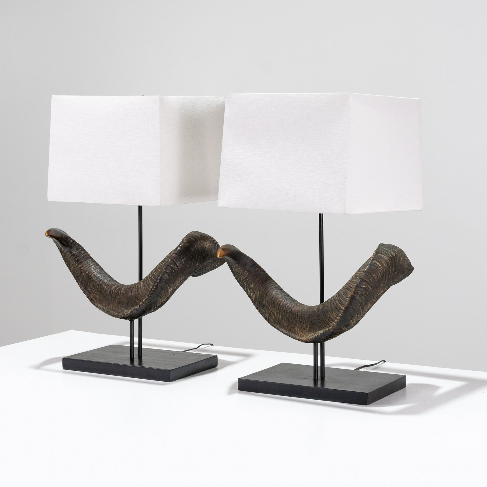 Horn Decorator Lamps (1 of 8)