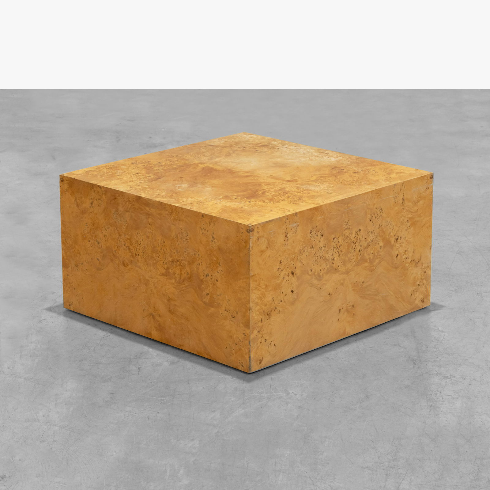 Paul Mayen - Burl Coffee Table (1 of 9)