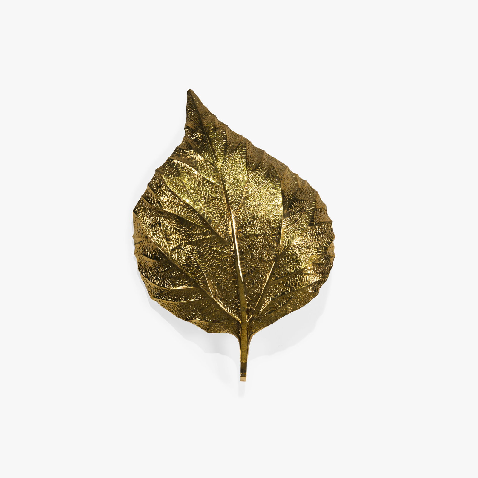 Tommaso Barbi - Brass Leaf Sconce: A large brass rhubarb leaf sconce by Tommaso Barbi. Wired for American sockets.