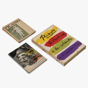 Picasso - Book Group