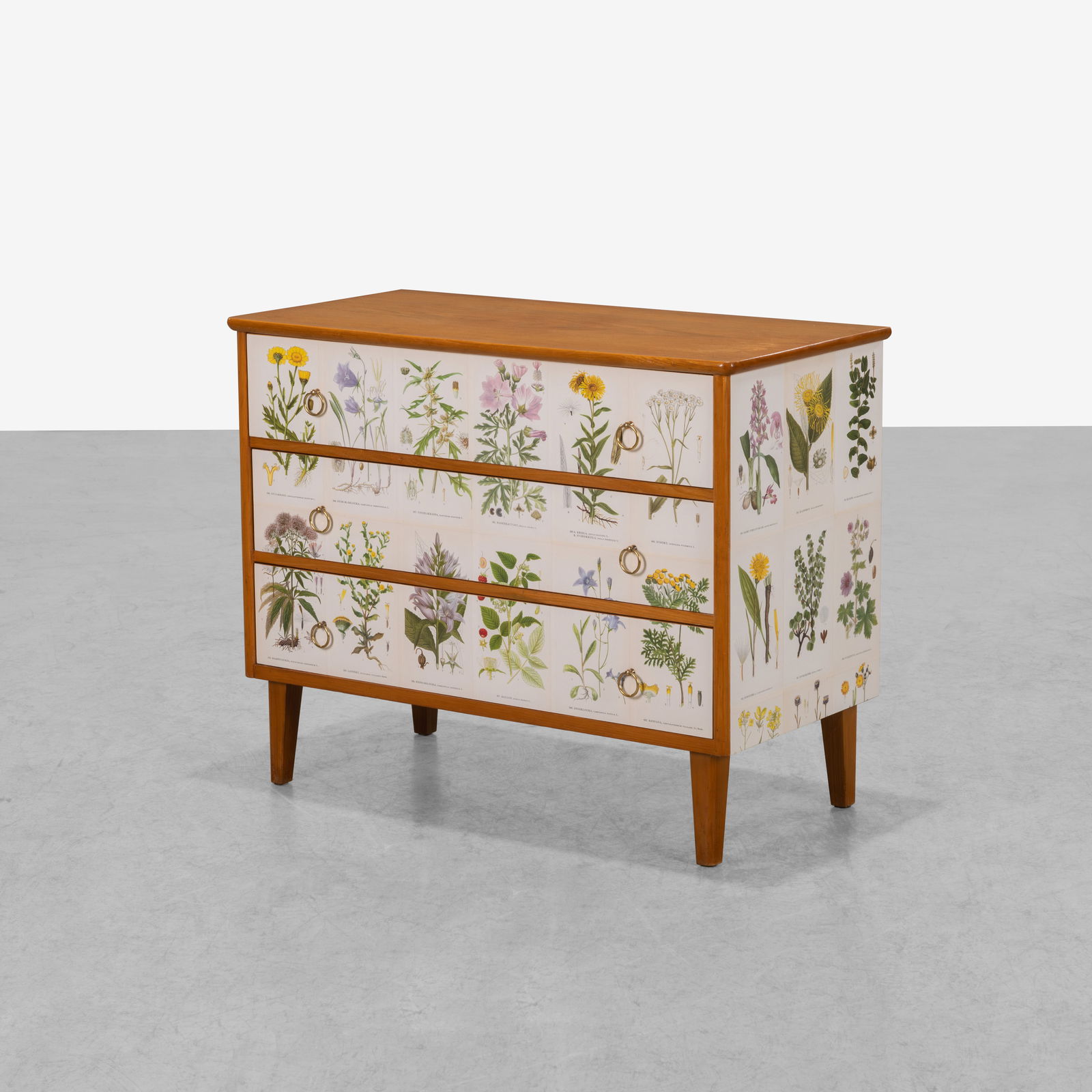 Swedish Flora Cabinet (1 of 7)