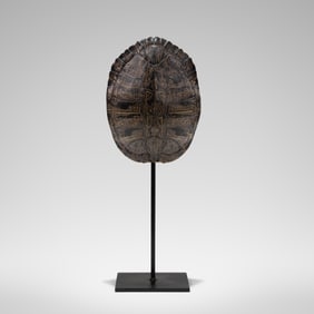 Turtle Shell on Stand