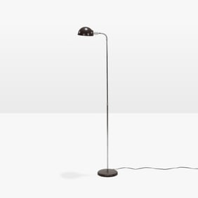 Adjustable Floor Lamp