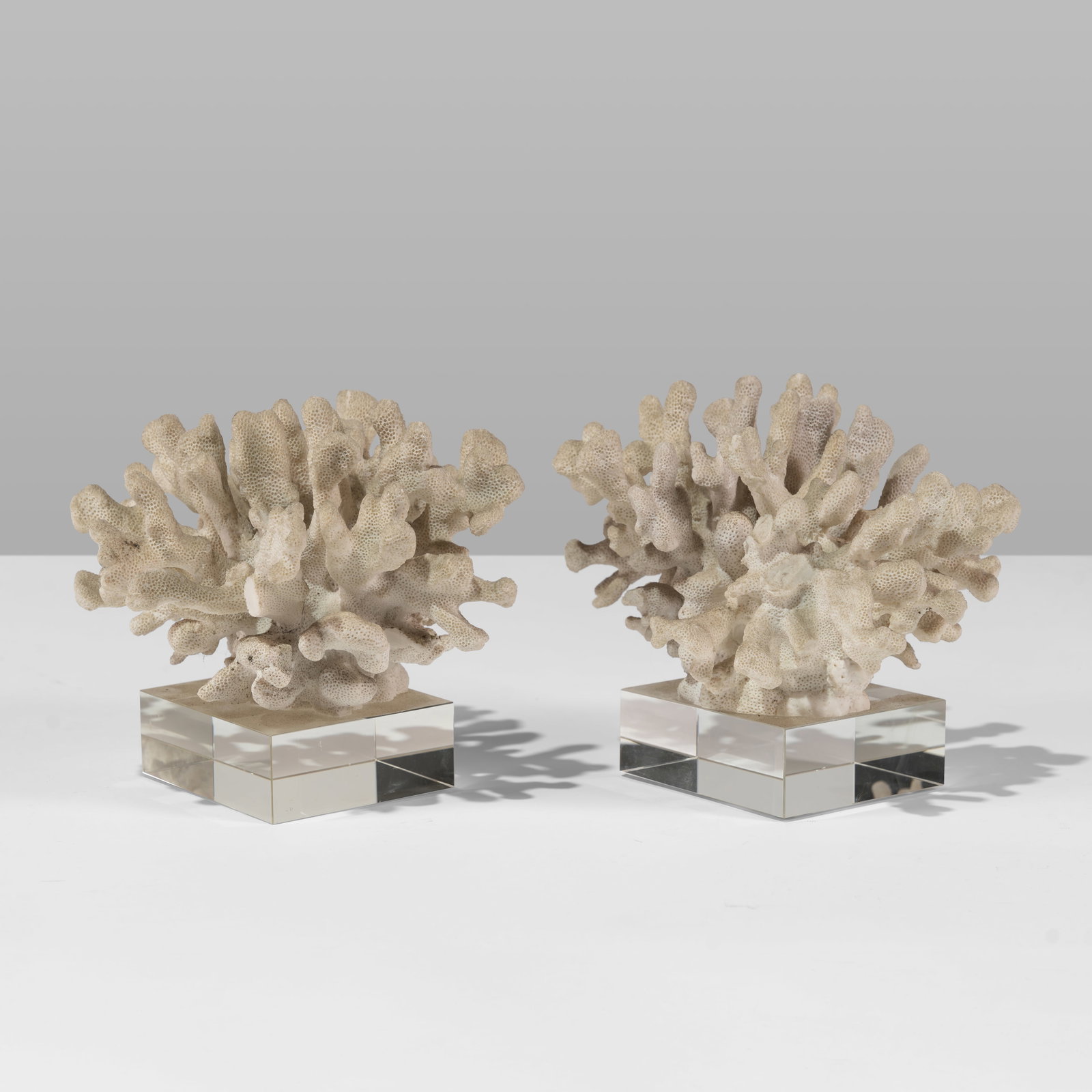 Coral & Glass Bookends: A pair of vintage coral and glass bookends.