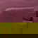 item-208939381=5