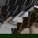 item-208939458=4