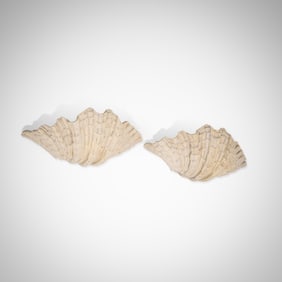 Serge Roche (Attr.) - Clam Sconces
