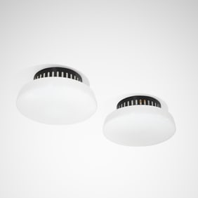 Sijaj Hrastnik - Flush Mounts