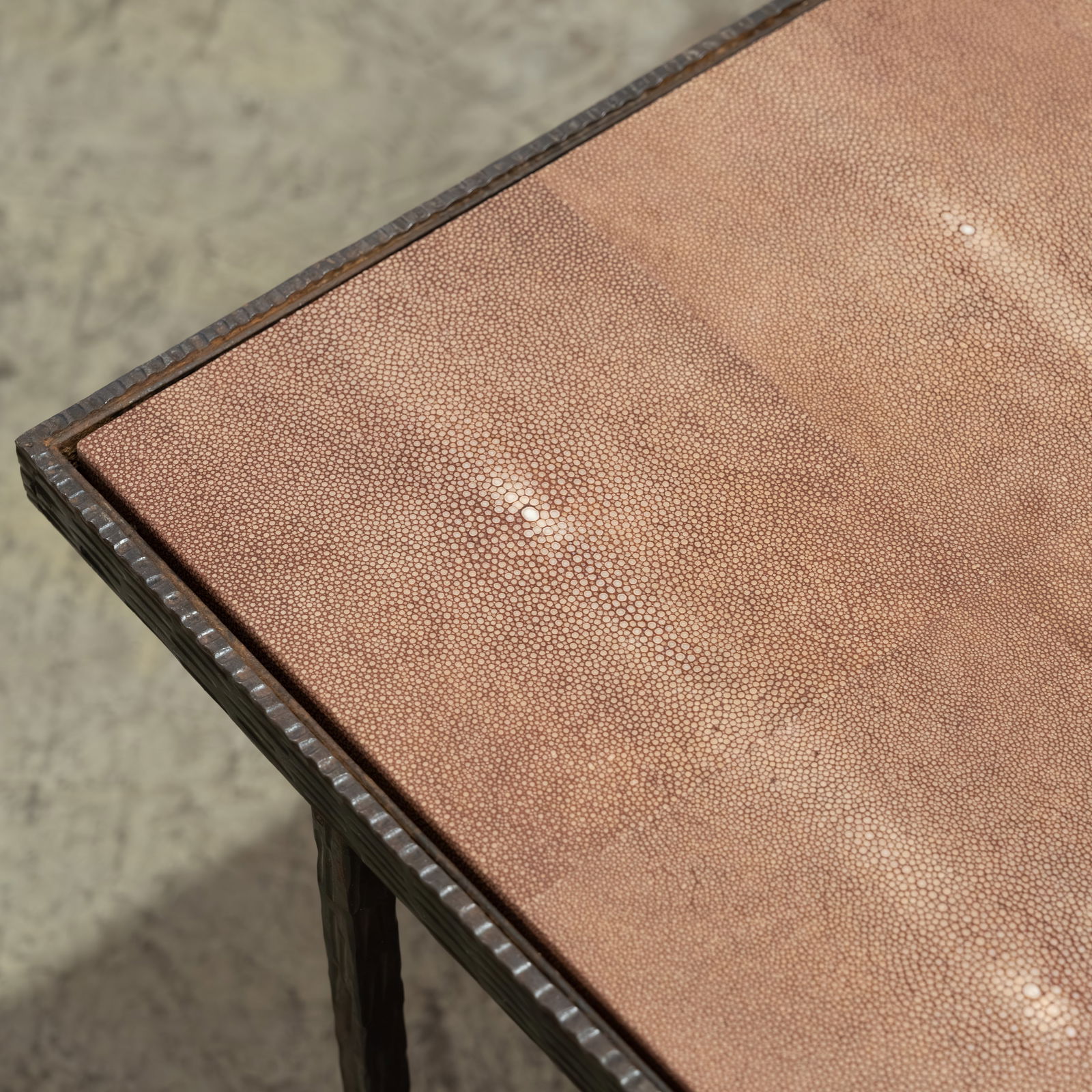 French Shagreen Coffee Table - 3