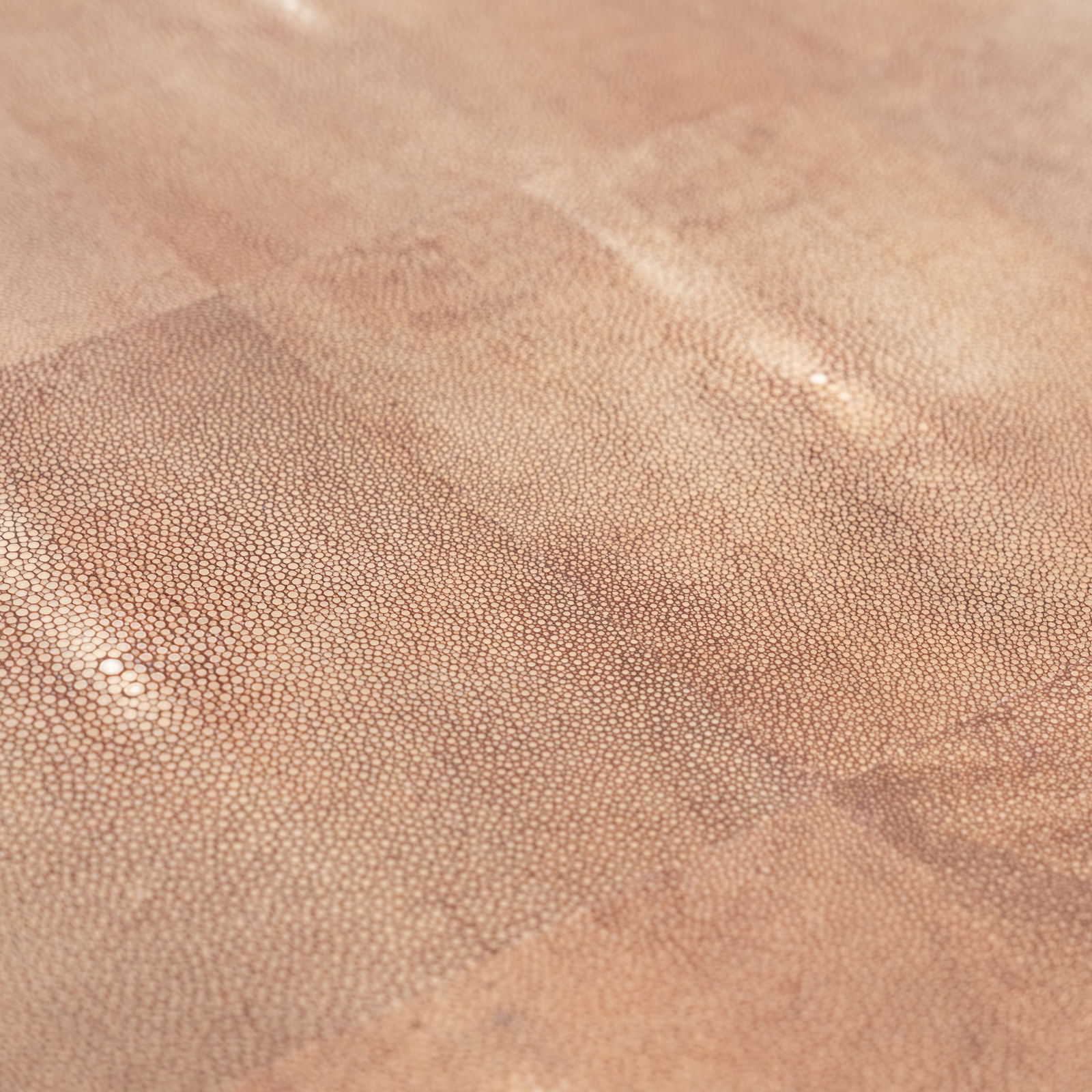 French Shagreen Coffee Table - 7