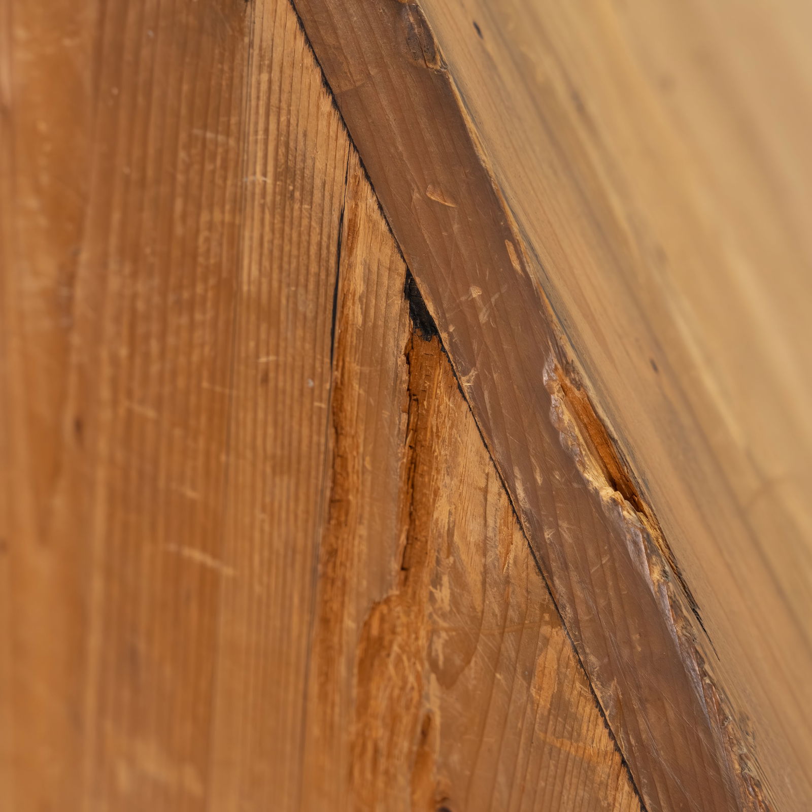 Robert Lobe - Pine Sculpture - 9