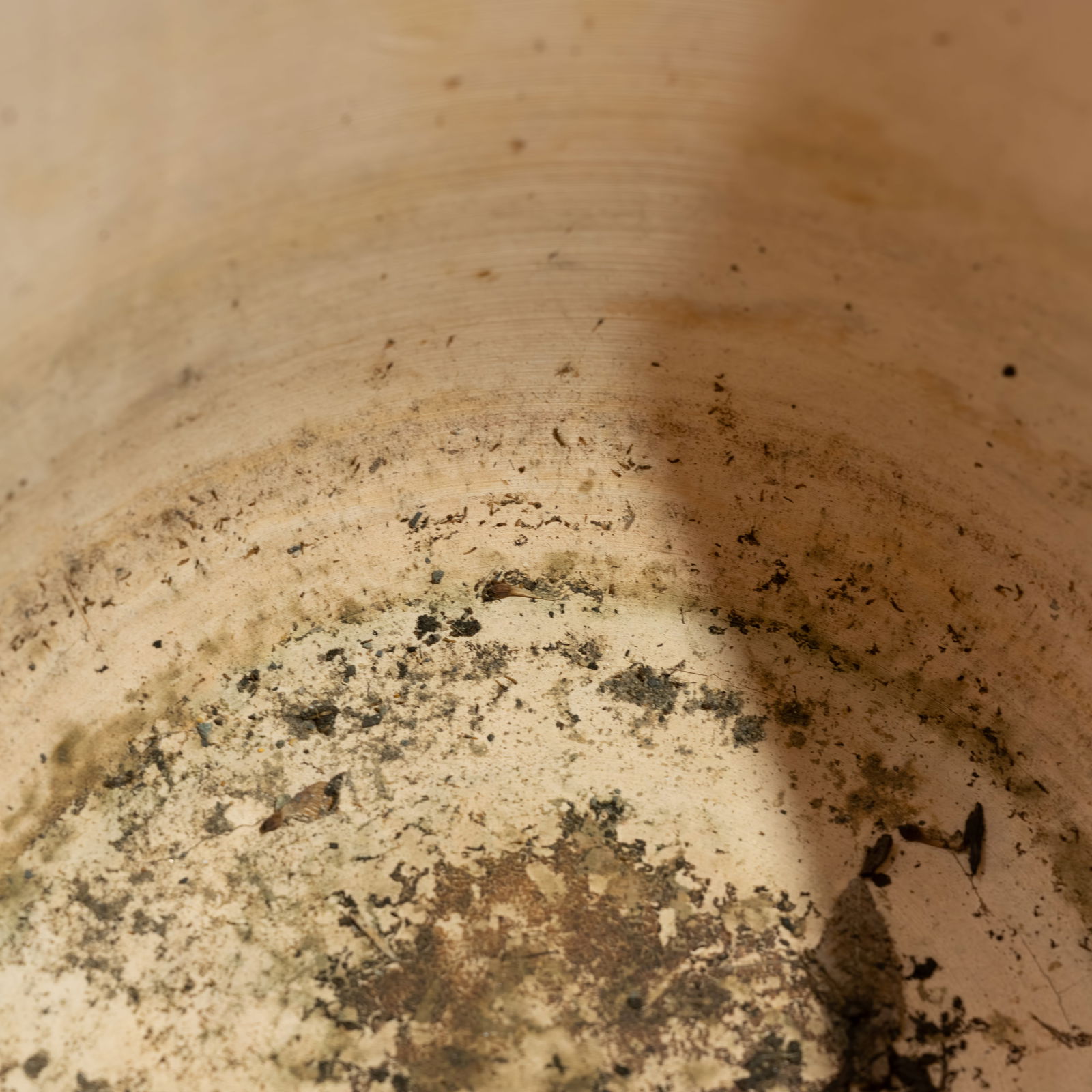 Malcolm Leland - Planter - 3