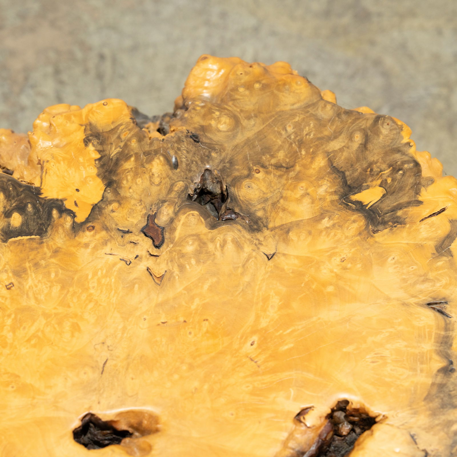 Burl Table - 5