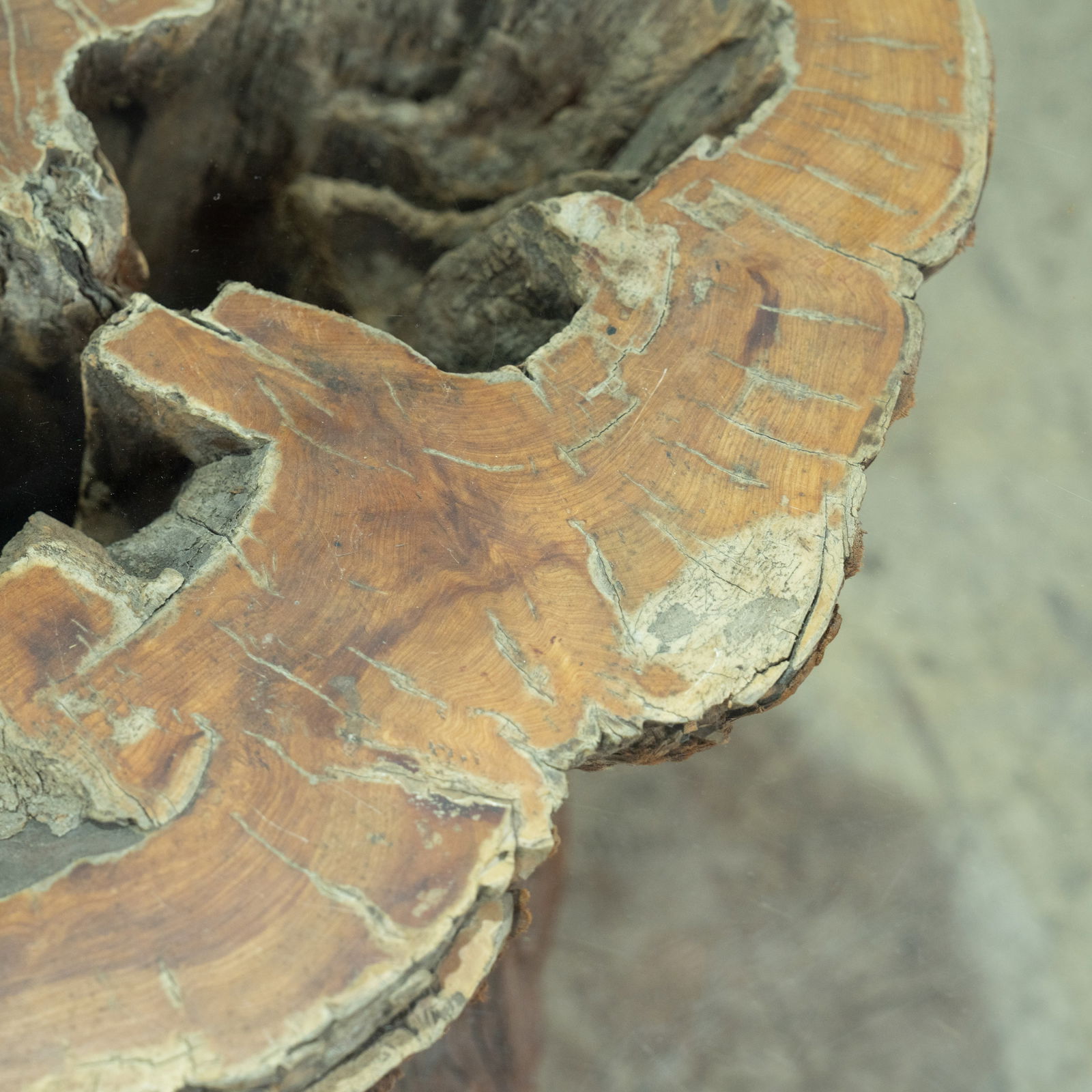 Stump Coffee Table - 3