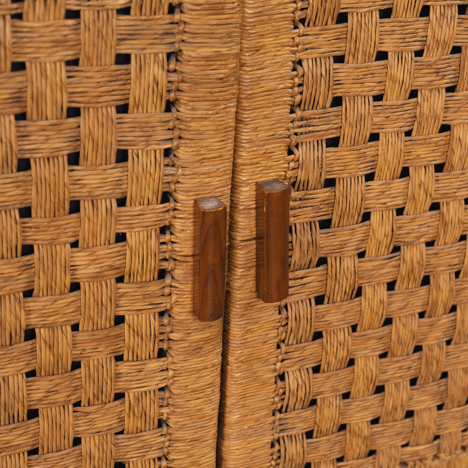 Michael Van Beuren - Cabinet - 4