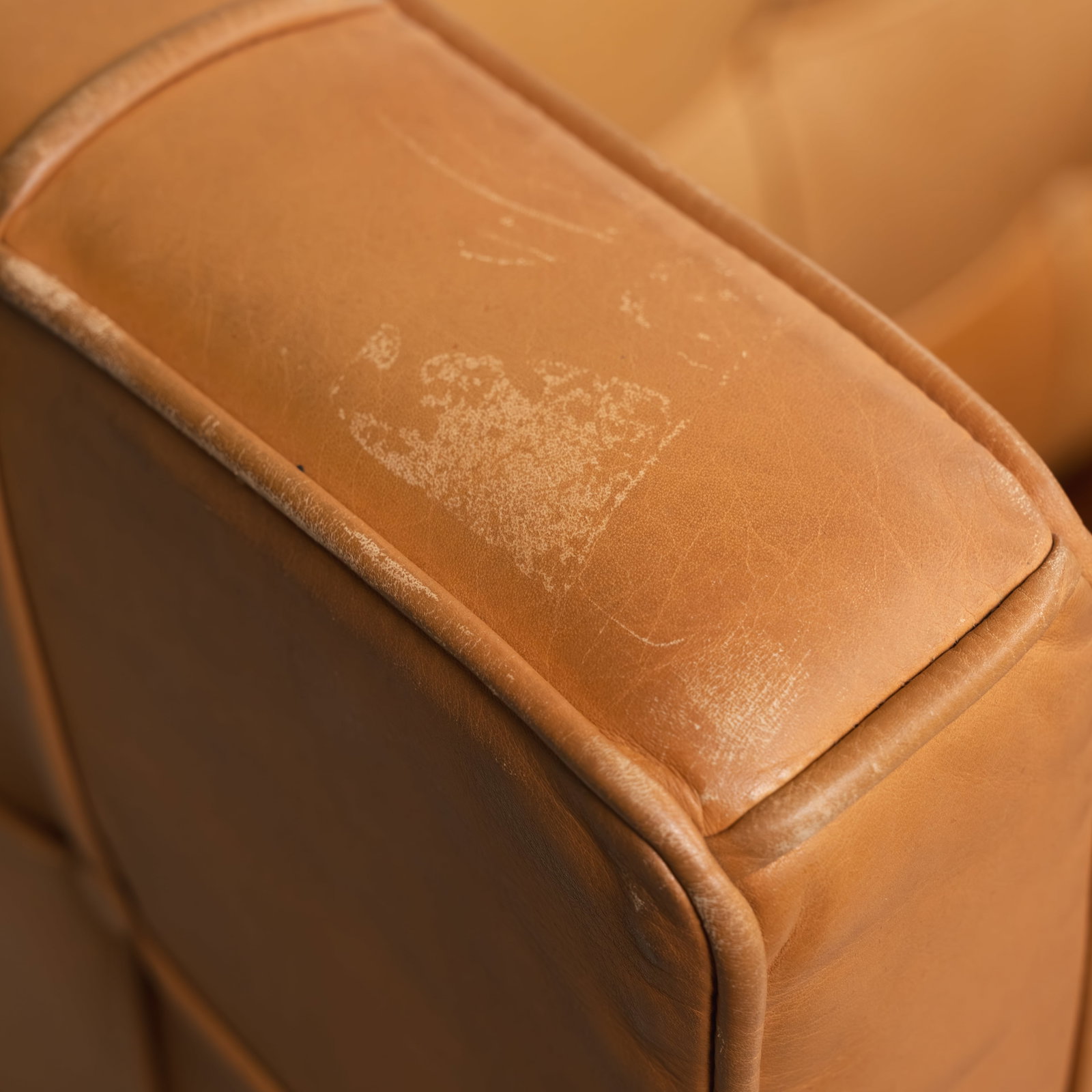 Philippe Starck - Bench - 10
