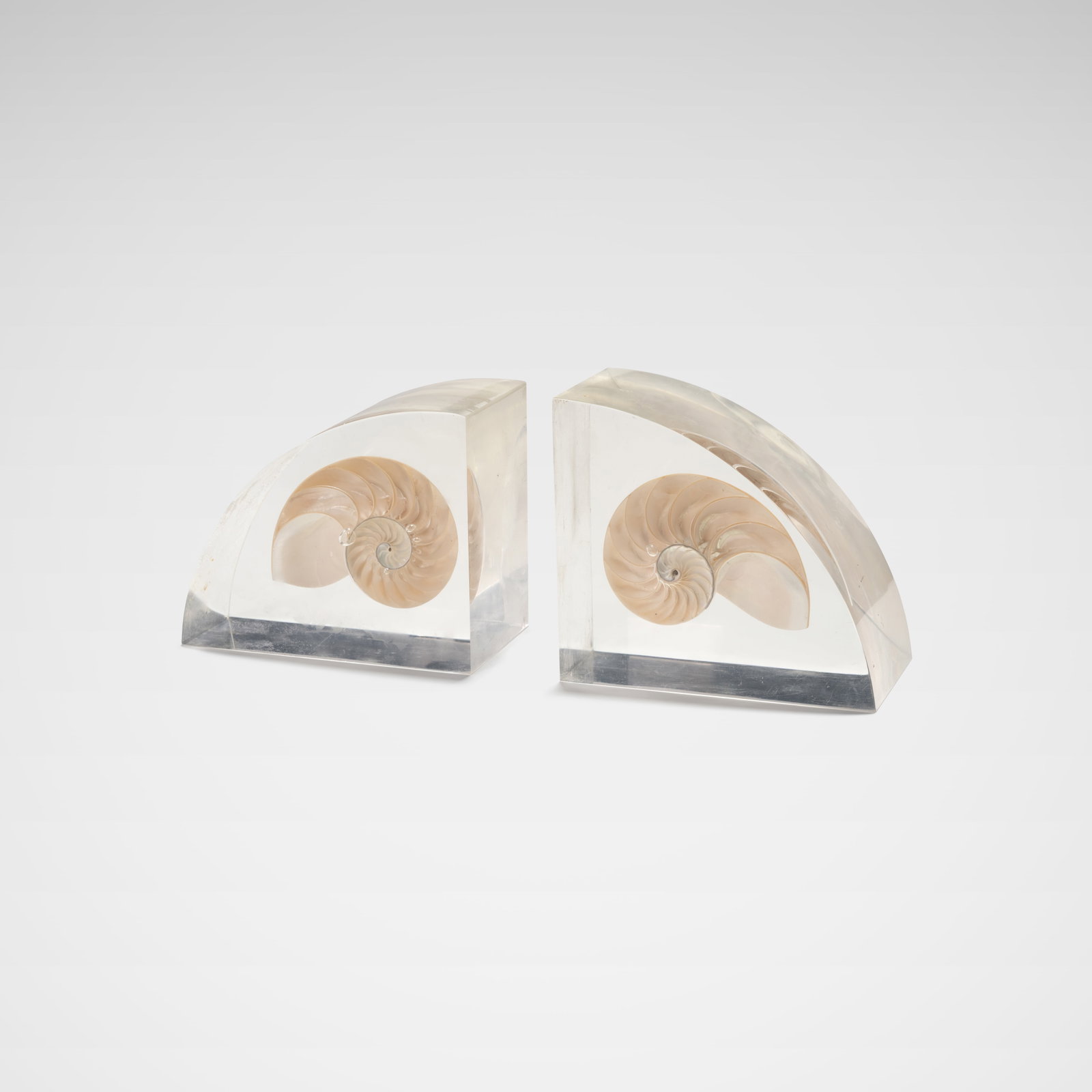 Lucite Shell Bookends (1 of 4)