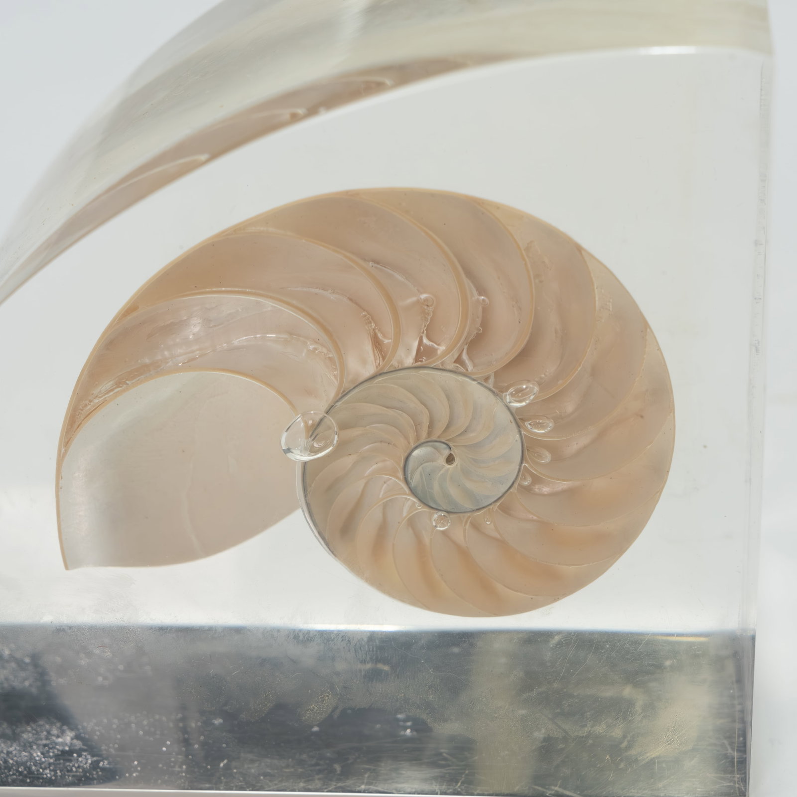 Lucite Shell Bookends - 2