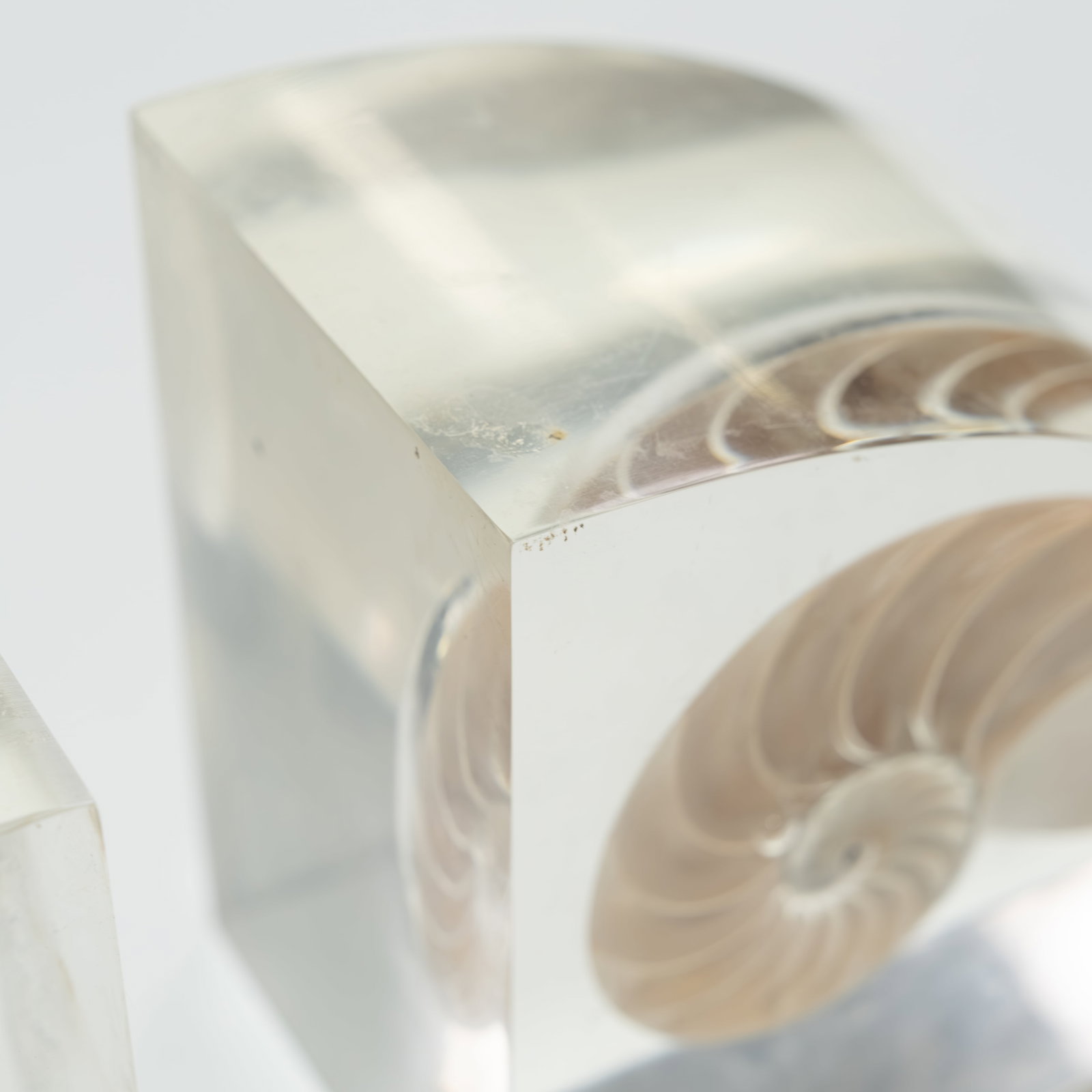 Lucite Shell Bookends - 4