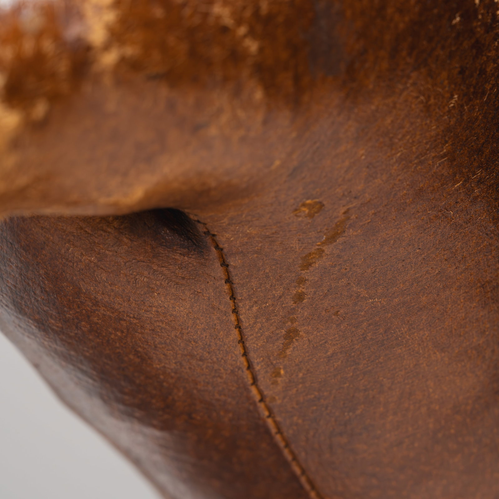 Leather Dog - 10