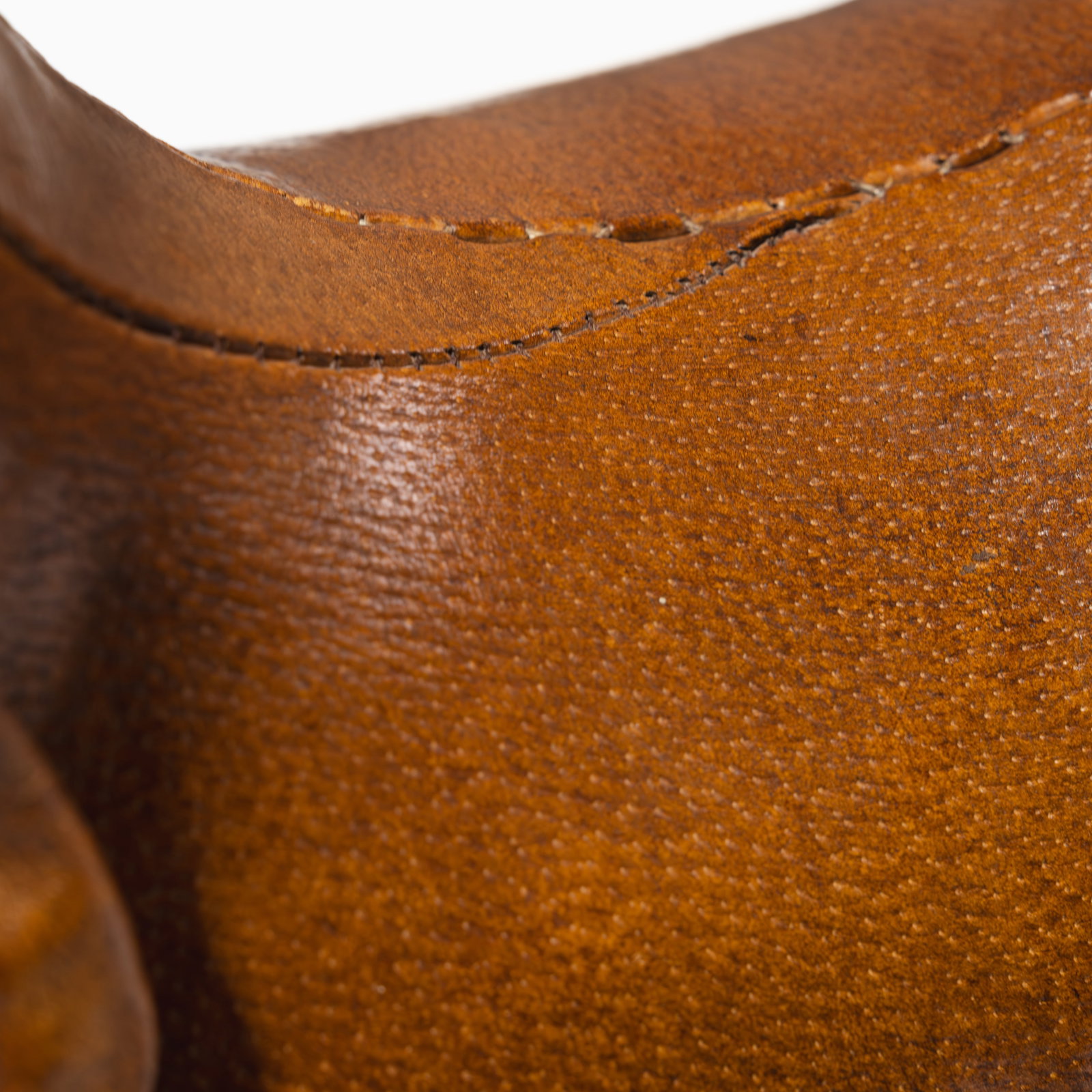 Leather Dog - 11