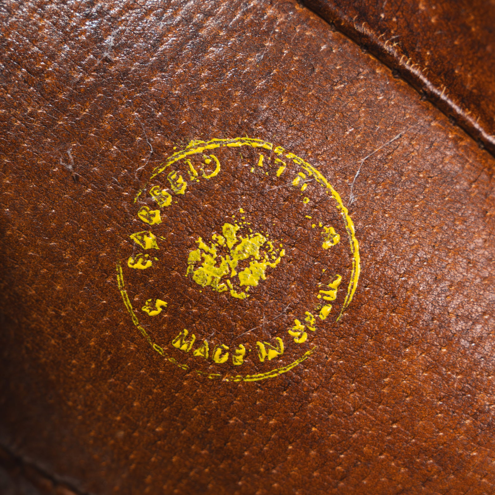 Leather Dog - 12